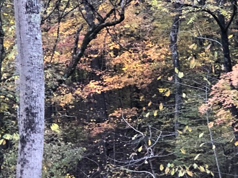 cozy and we had a great time connecting with friends in Birmingham.